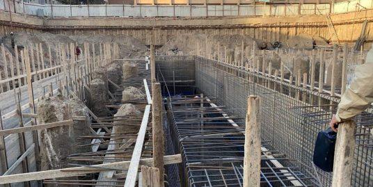 Saraya El Shshyiny work progress
