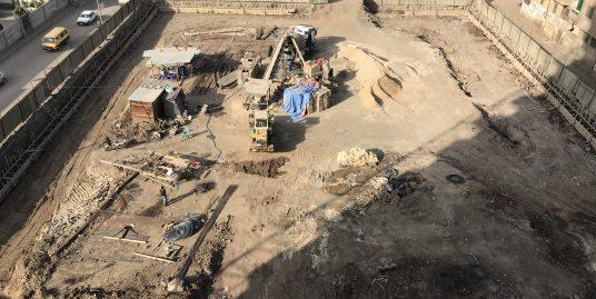 Saraya El Shshyiny work progress