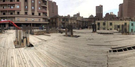 Saraya El Shshyiny work progress 2021
